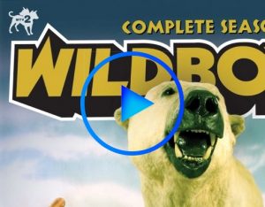 517596 1 300x234 - Дикари (Wildboyz) смотреть онлайн